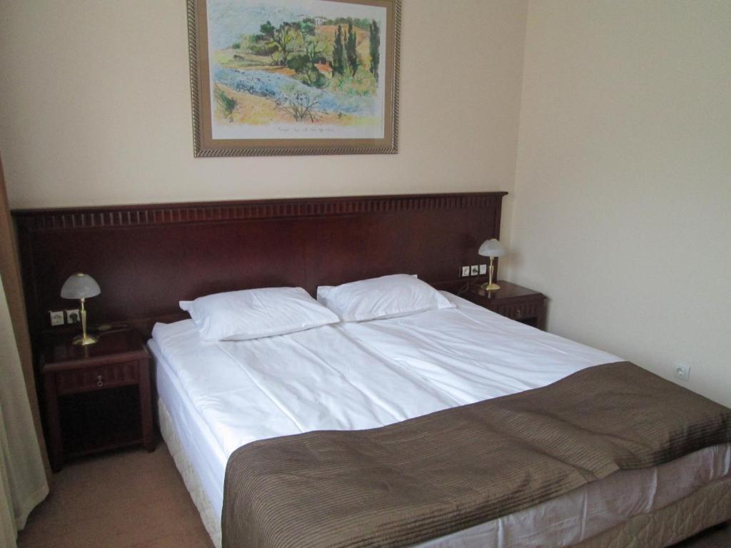 Downtown Alexander Services Apartments Bansko Phòng bức ảnh