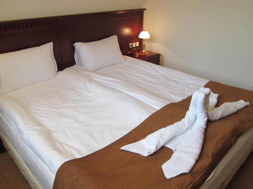 Downtown Alexander Services Apartments Bansko Phòng bức ảnh