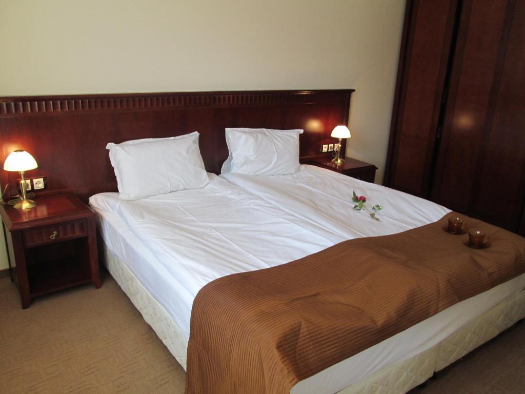 Downtown Alexander Services Apartments Bansko Phòng bức ảnh